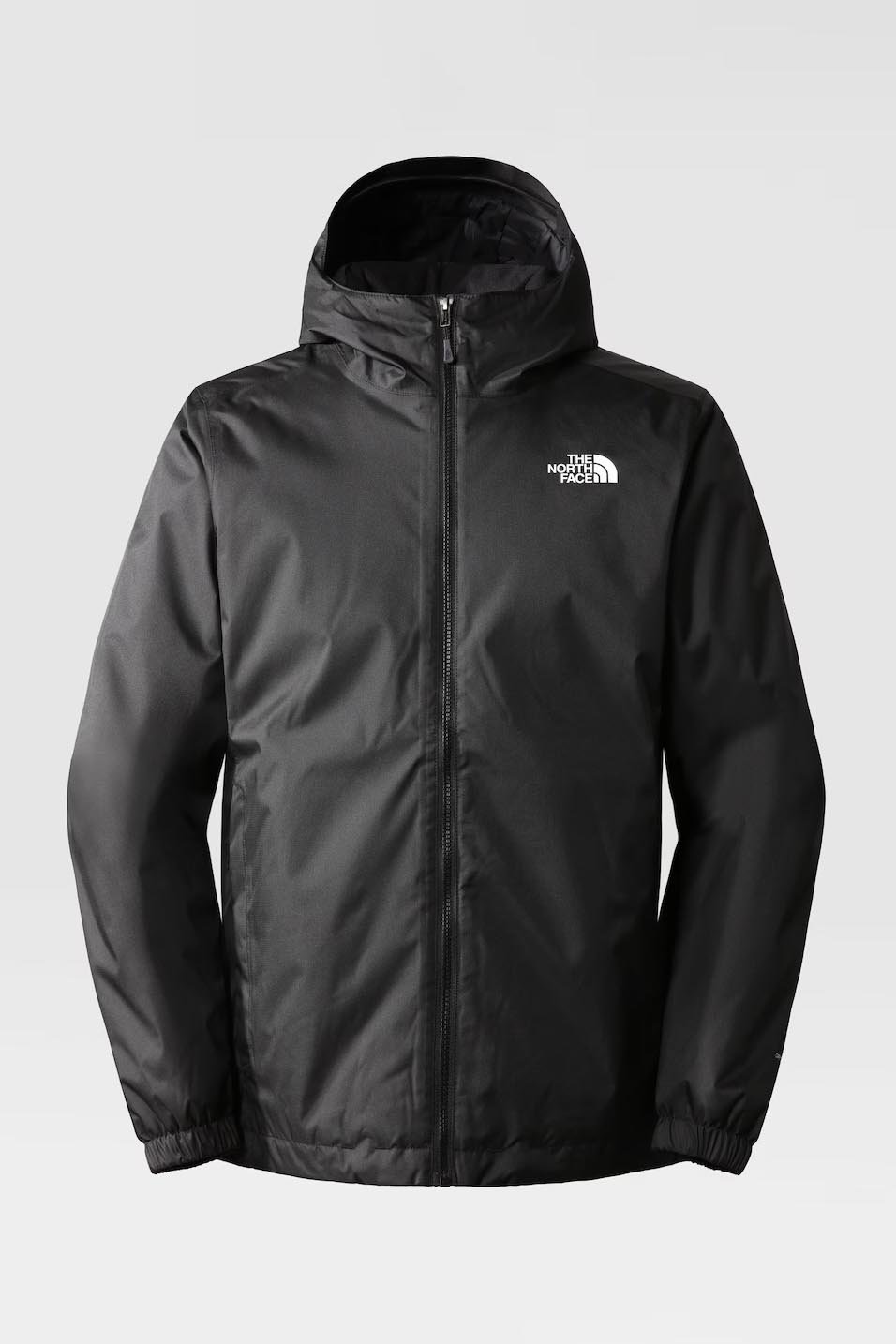 Cazadora de la marca The North Face Negro